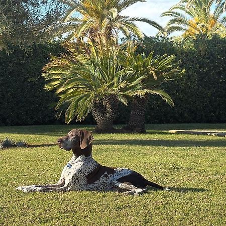 La Calma Espectacular Villa Con Jardin Y Piscina En Menorca 살가르 외부 사진